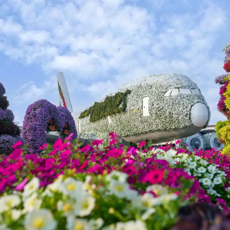 Global Village + Miracle Garden - Combo