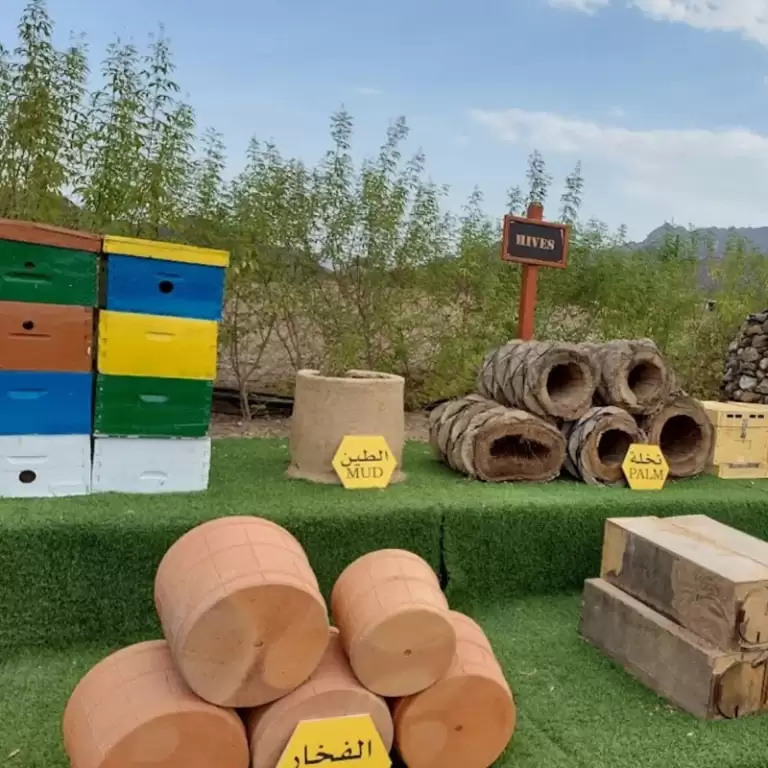 Hatta Honeybee Garden Discovery Tour