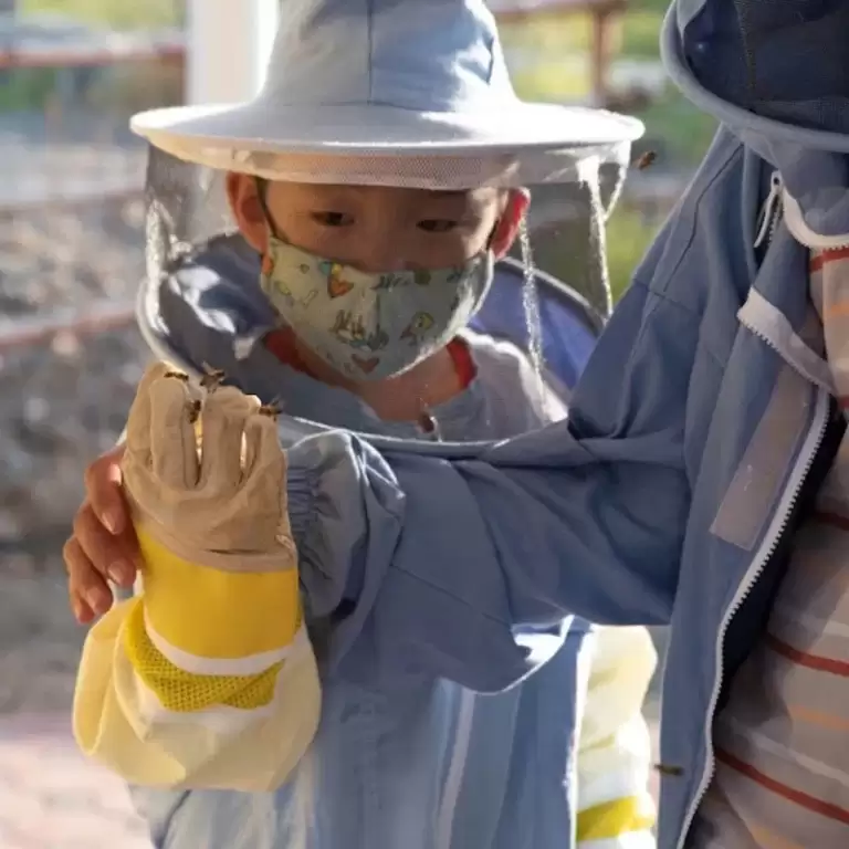 Hatta Honeybee Garden Discovery Tour