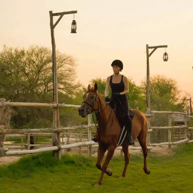 Horse Riding with Open Buffet Dinner & Shows