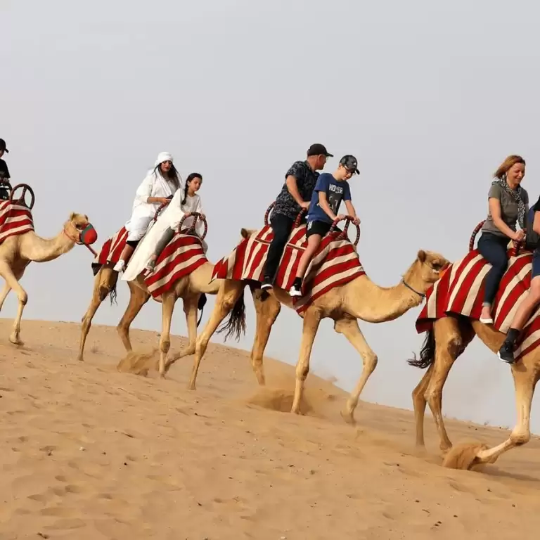 Horse Riding with Open Buffet Dinner & Shows
