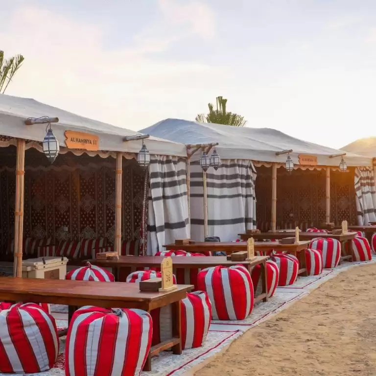 Horse Riding with Open Buffet Dinner & Shows