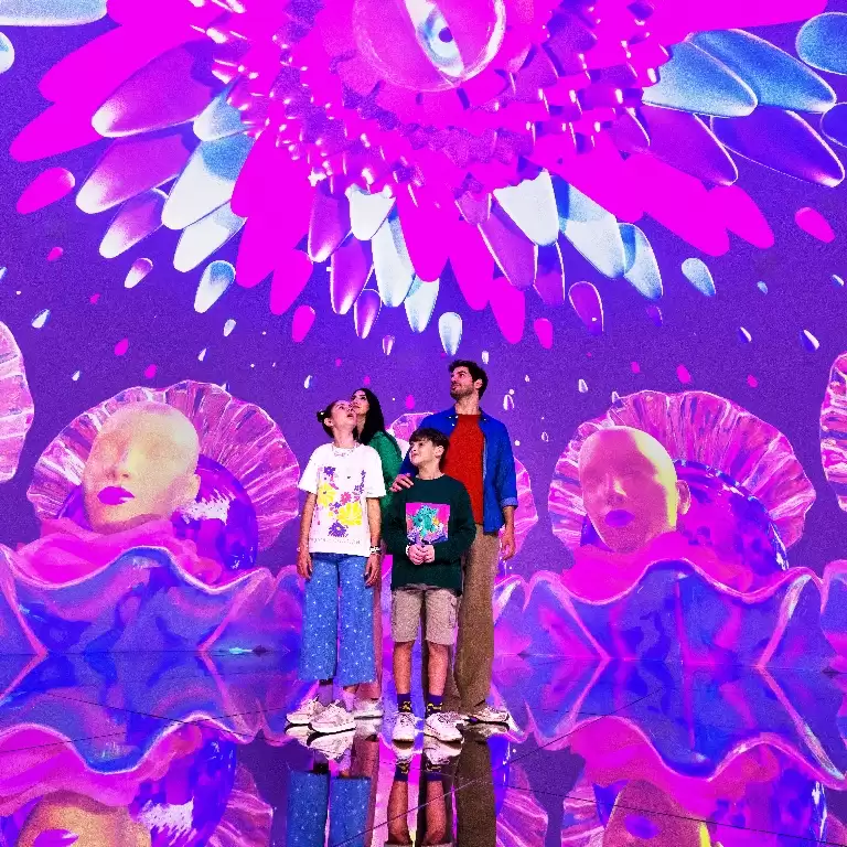 House Of Hype-Dubai Mall
