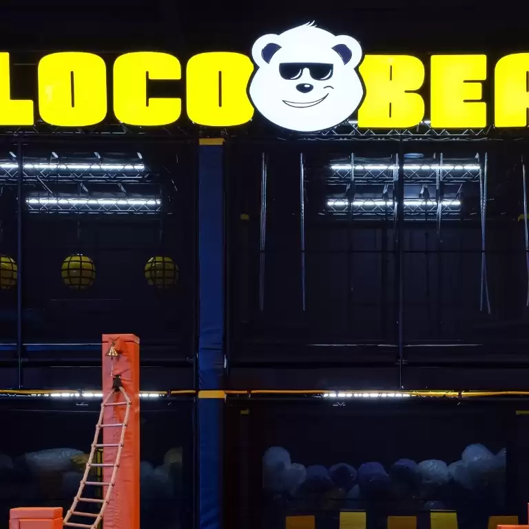 Loco Bear Entertainment Hub