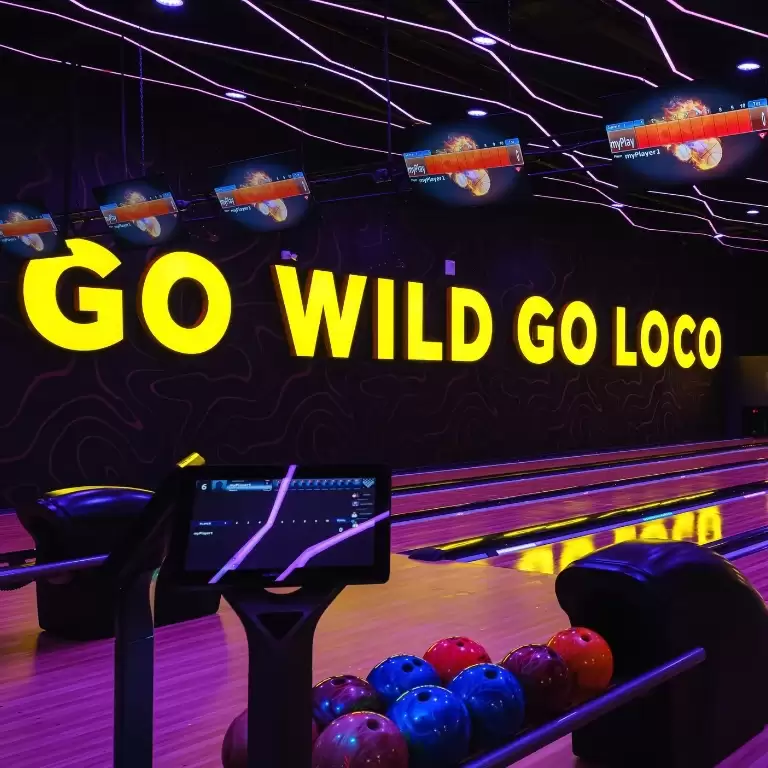 Loco Bear Entertainment Hub