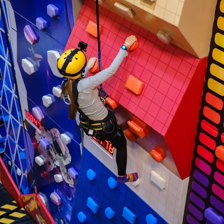 Loco Bear Entertainment Hub