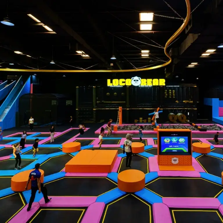 Loco Bear Entertainment Hub