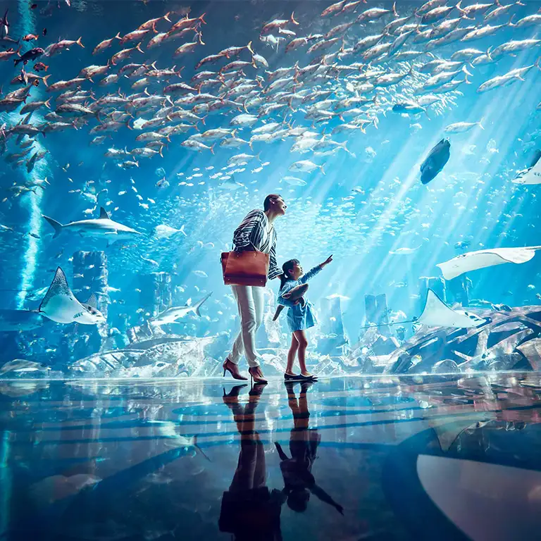 Kayıp Dünya Akvaryumu - Kayıp Odalar Akvaryumu olarak da bilinir