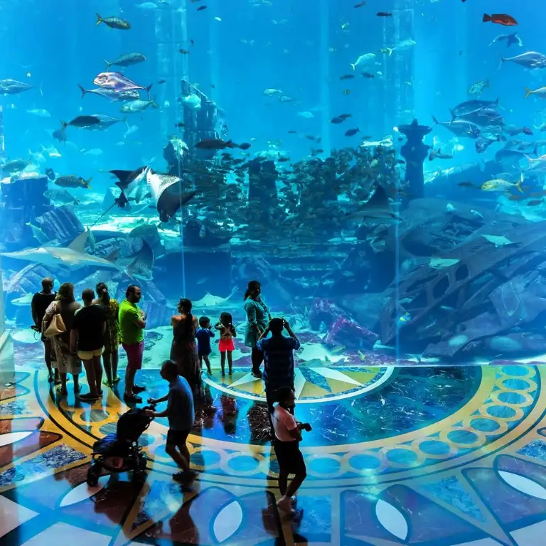 Kayıp Dünya Akvaryumu - Kayıp Odalar Akvaryumu olarak da bilinir