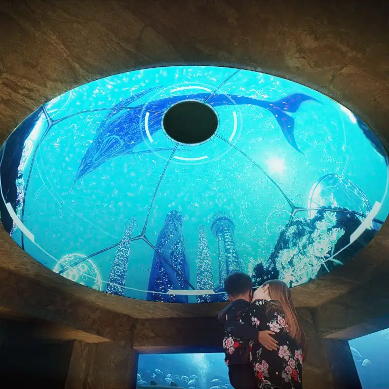 Kayıp Dünya Akvaryumu - Kayıp Odalar Akvaryumu olarak da bilinir