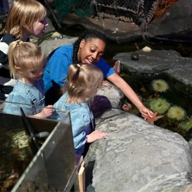 सी लाइफ बर्मिंघम