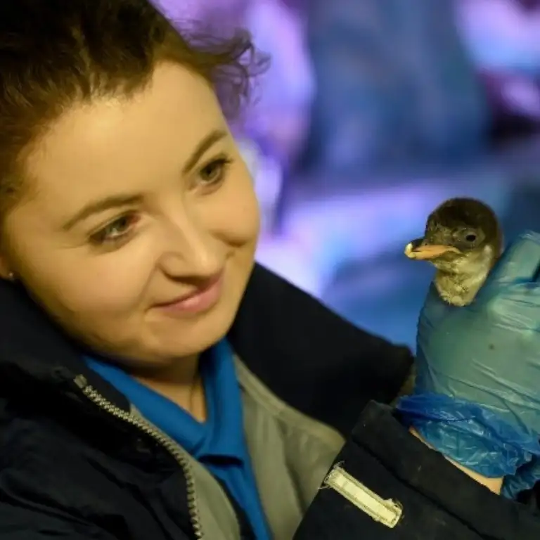 सी लाइफ बर्मिंघम