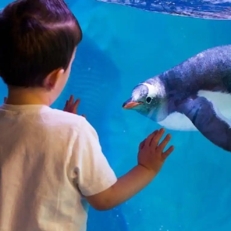 सी लाइफ बर्मिंघम