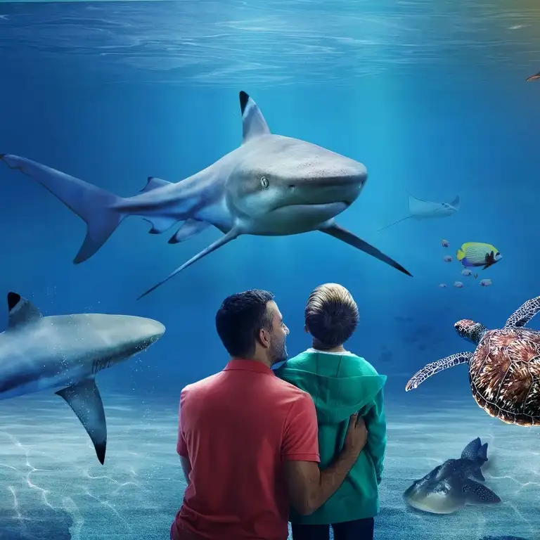 सी लाइफ बर्मिंघम