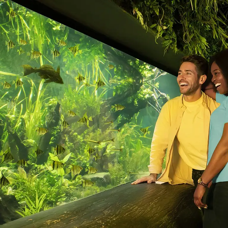 سي لايف برمنغهام