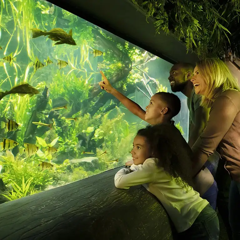 سي لايف برمنغهام