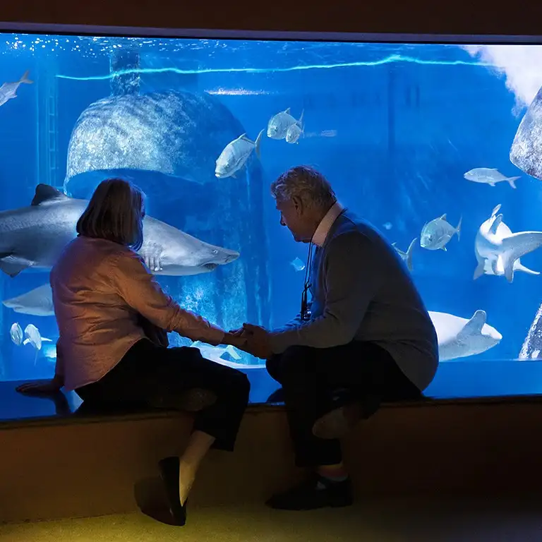 سي لايف برمنغهام