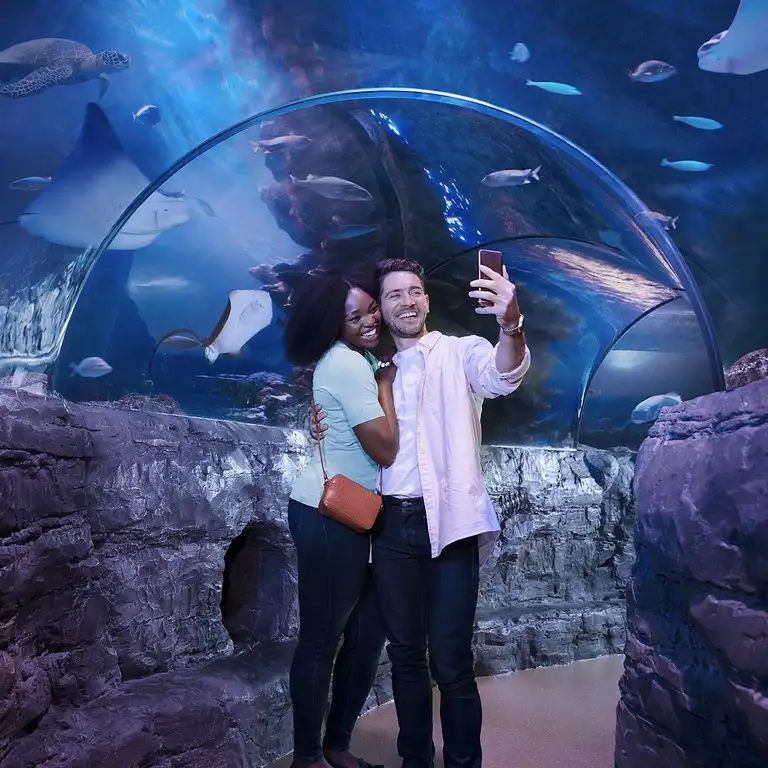 سي لايف برمنغهام