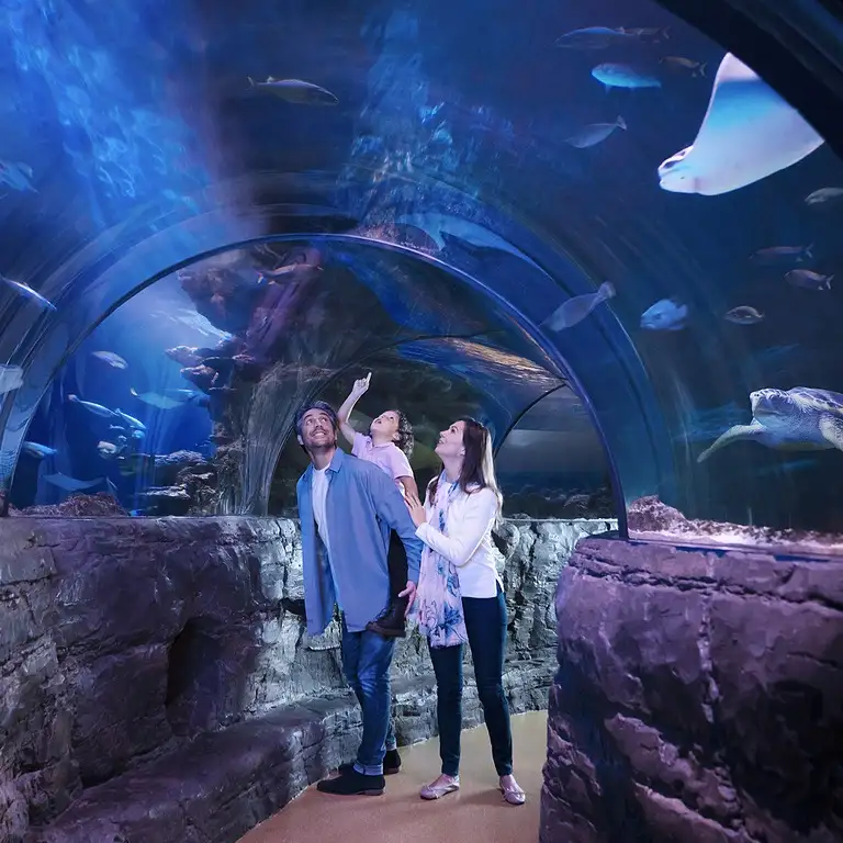 سي لايف برمنغهام