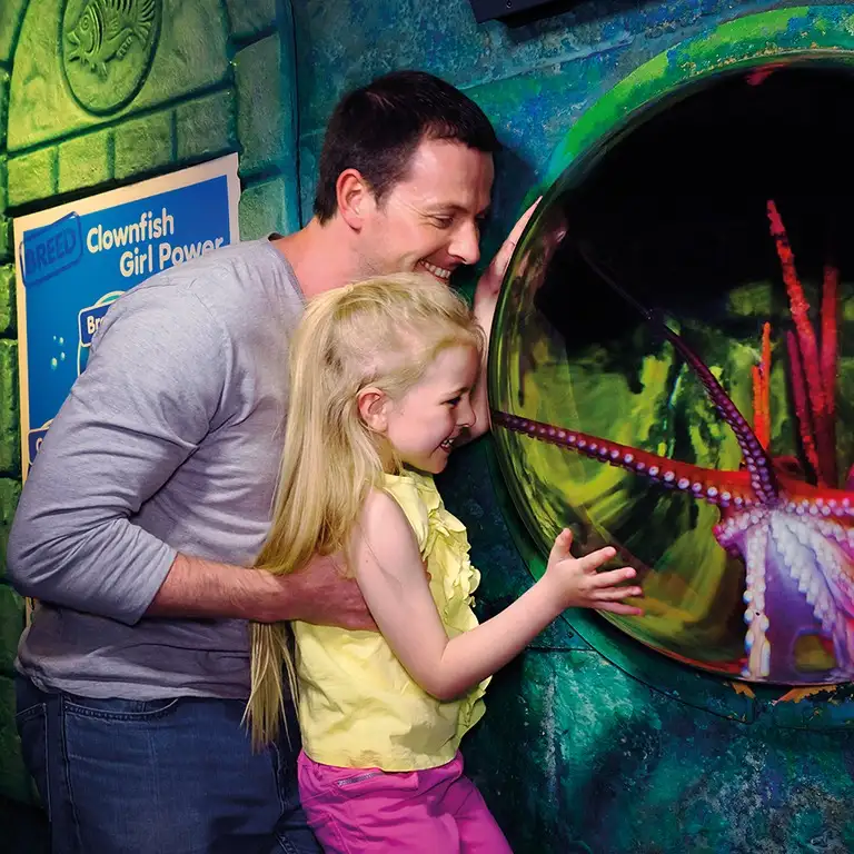 سي لايف برمنغهام