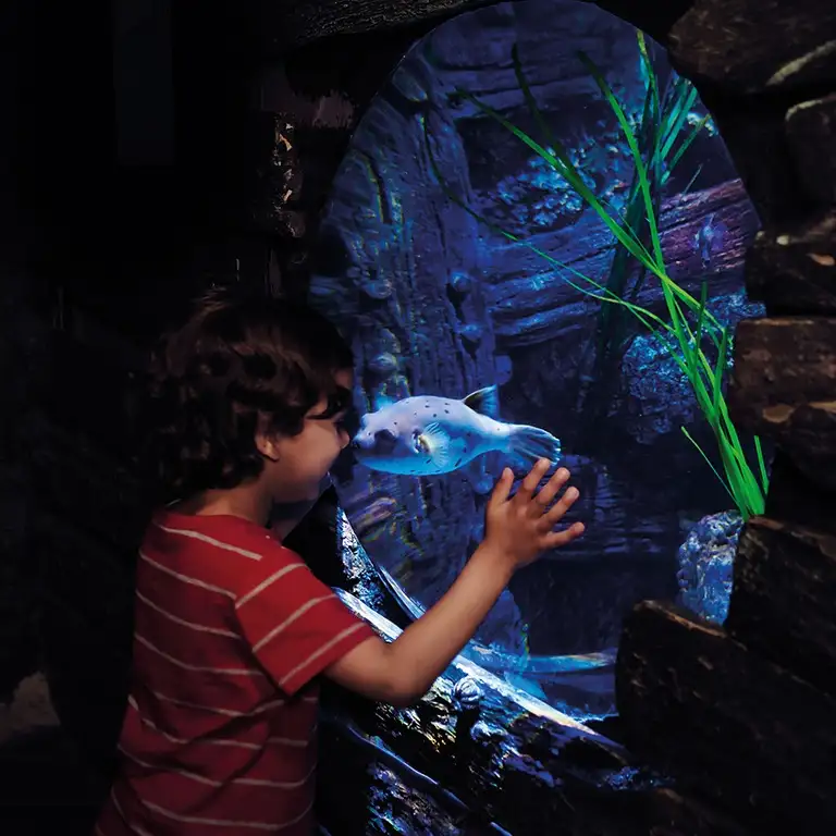 سي لايف برمنغهام