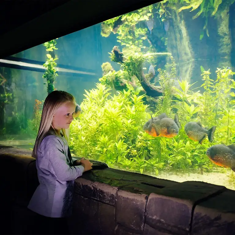 سي لايف برمنغهام