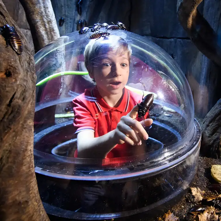 سي لايف برمنغهام