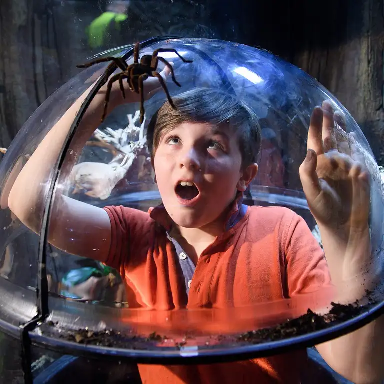 سي لايف برمنغهام