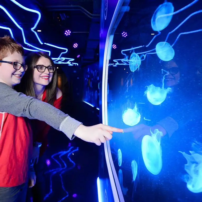 سي لايف برمنغهام