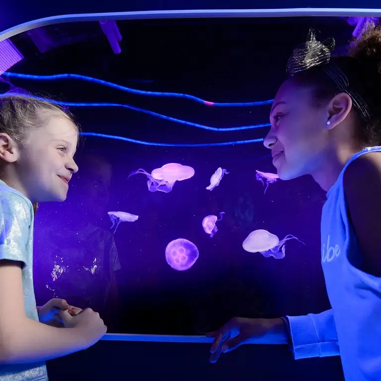 سي لايف برمنغهام