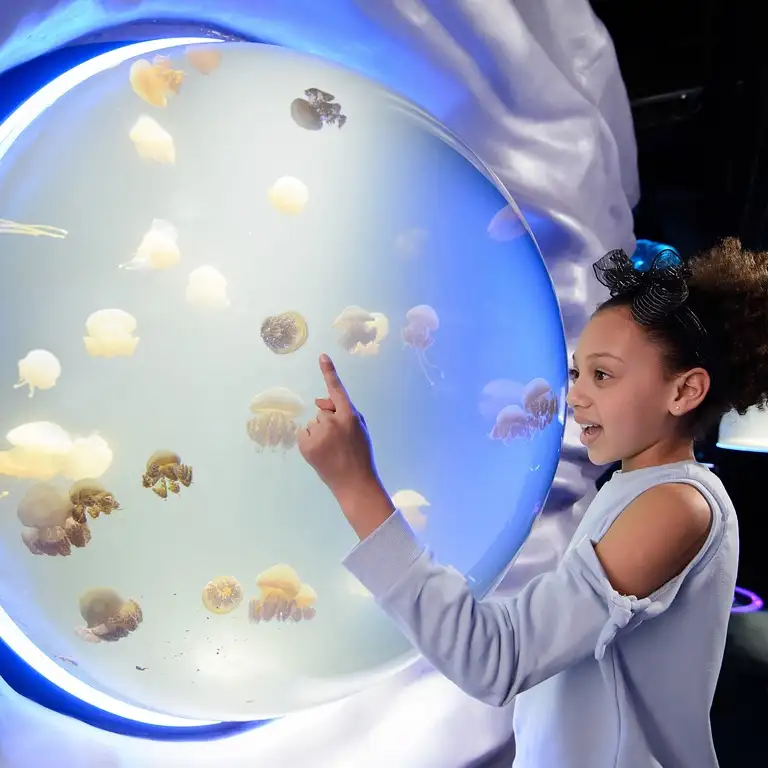 سي لايف برمنغهام