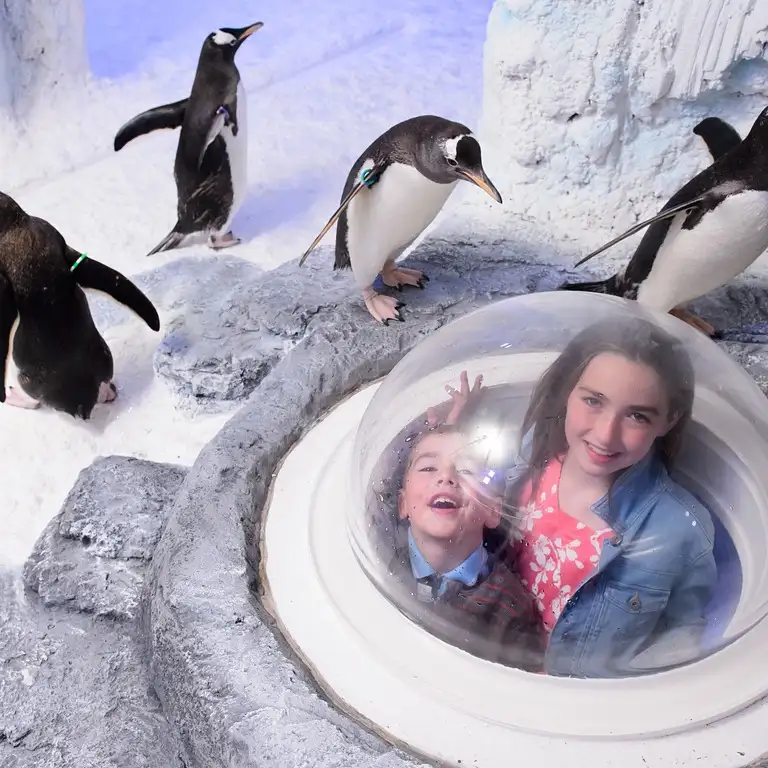 سي لايف برمنغهام