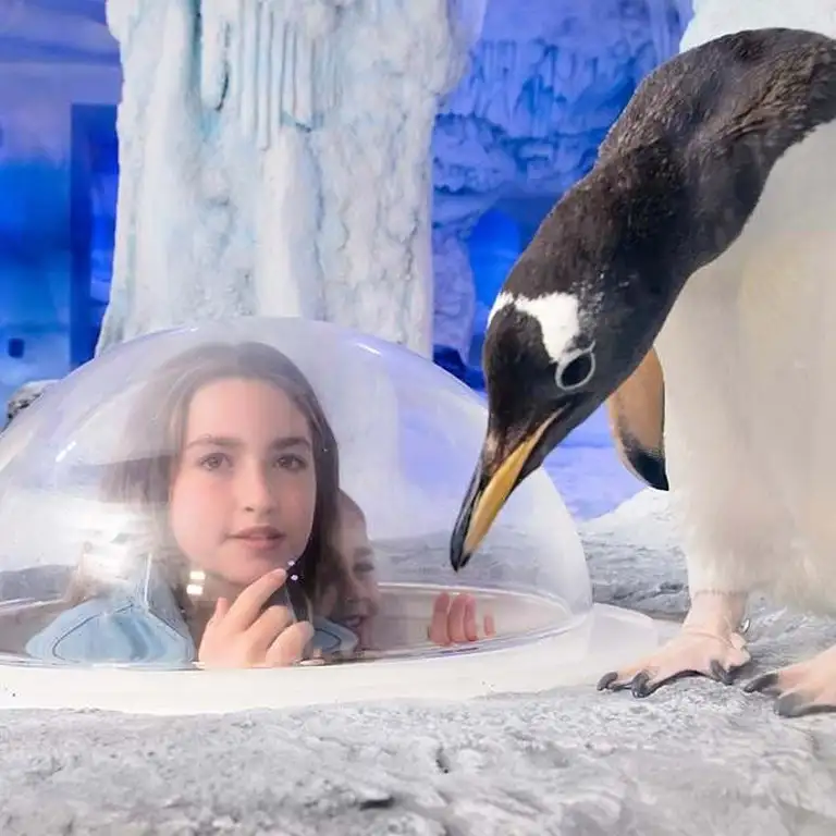 سي لايف برمنغهام