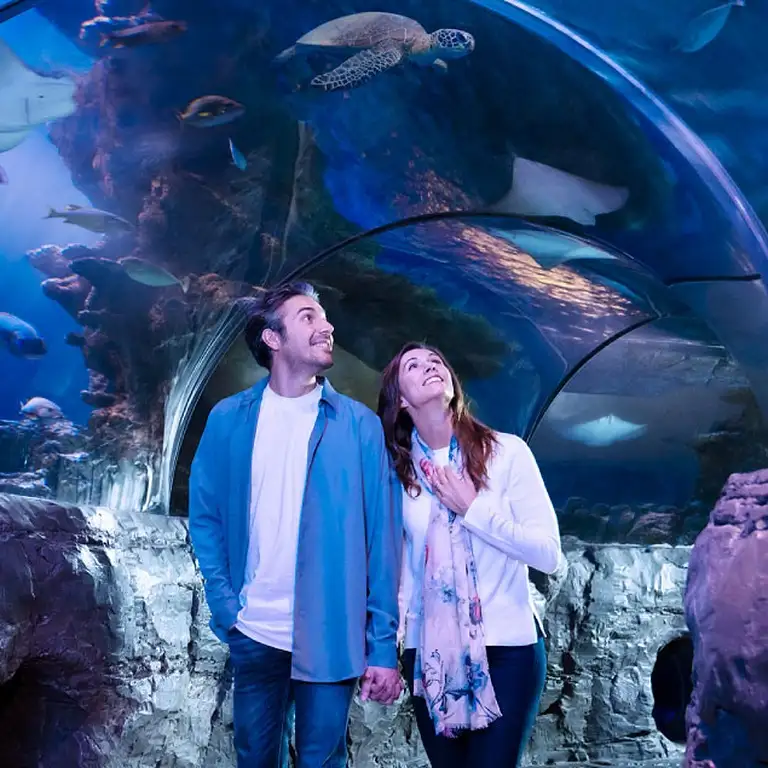 سي لايف برمنغهام