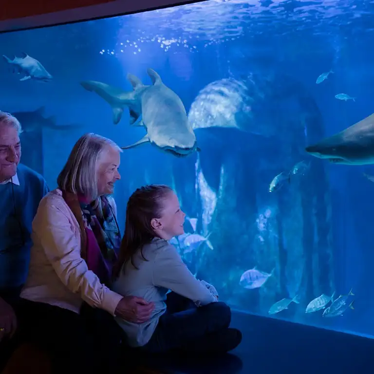 سي لايف برمنغهام