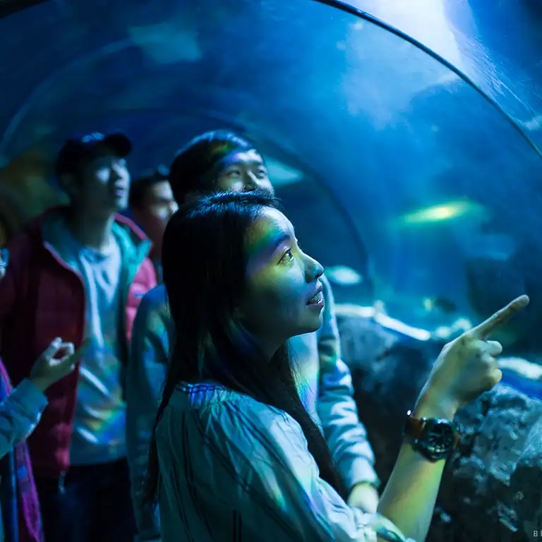 سي لايف برمنغهام