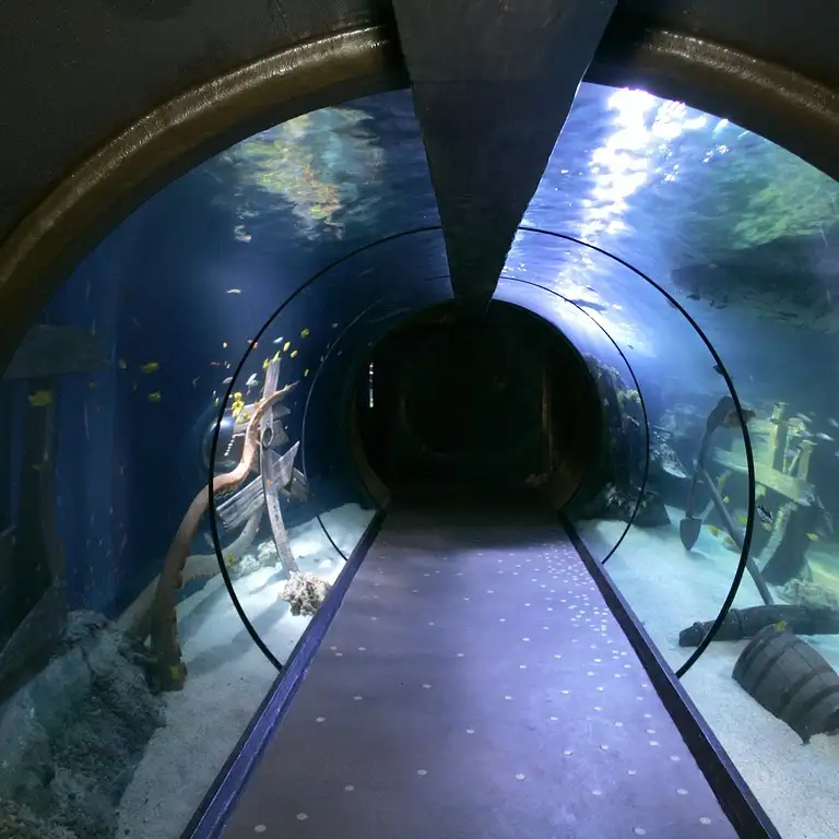 سي لايف برمنغهام