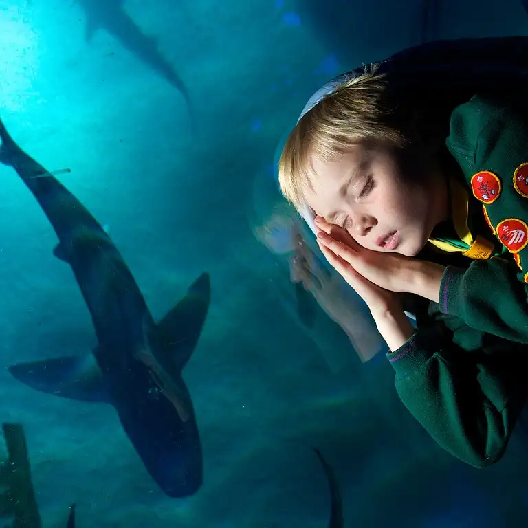 سي لايف برمنغهام