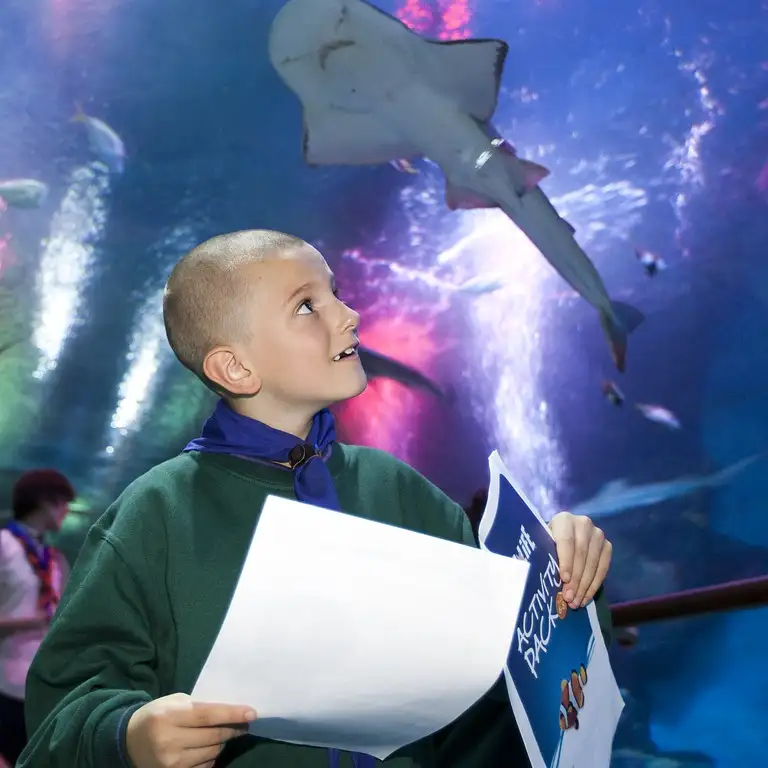 سي لايف برمنغهام