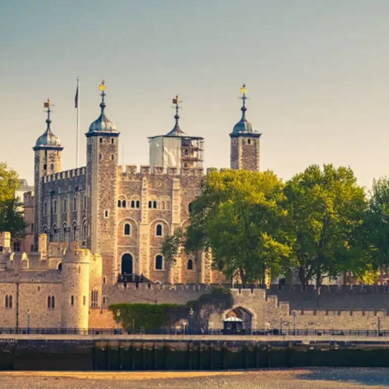 Christmas Day Hop-on Hop-off Bus Tour