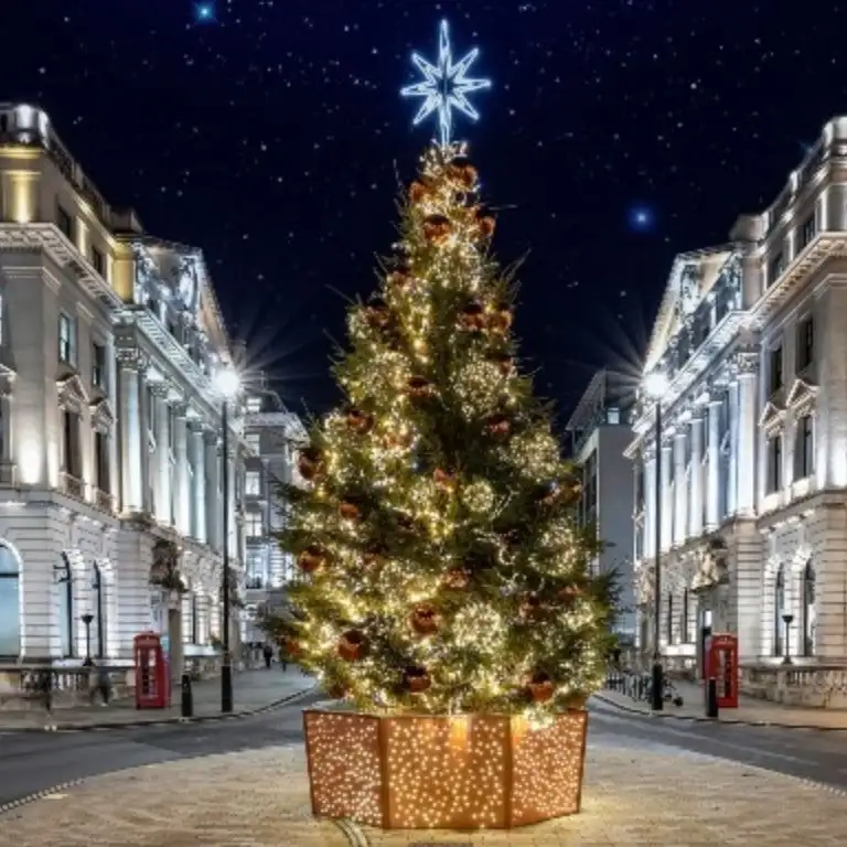 Noel Işıkları Yürüyüş Turu – Londra