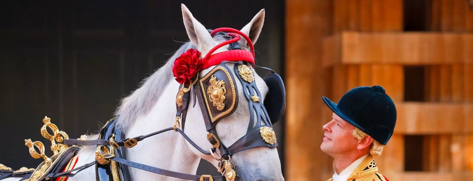 The Royal Mews & Buckingham Palace