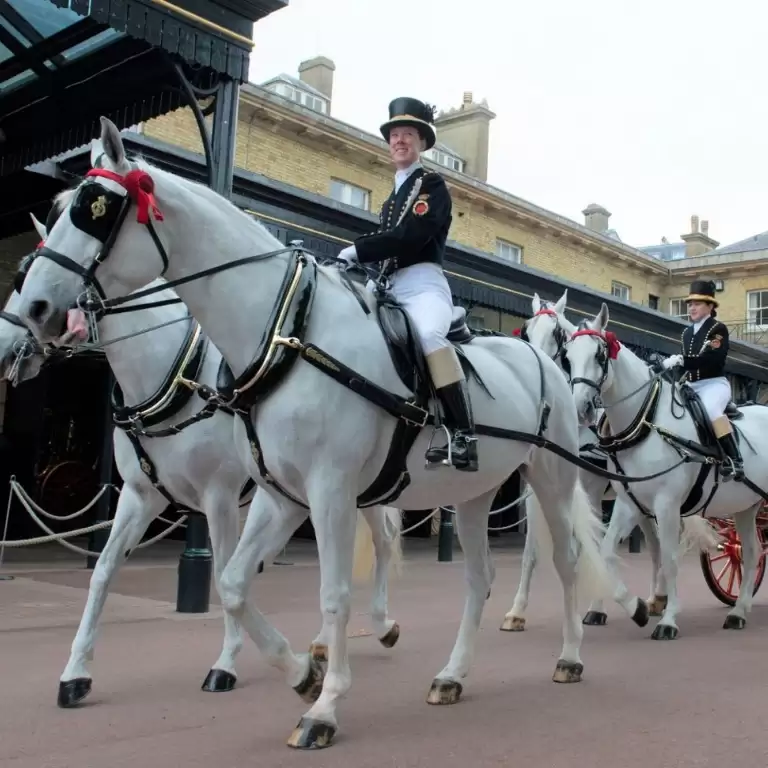 The Royal Mews & Buckingham Palace