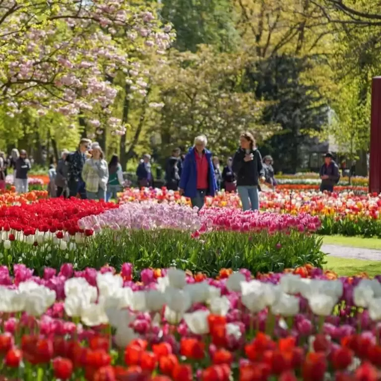 Keukenhof Gardens with transport