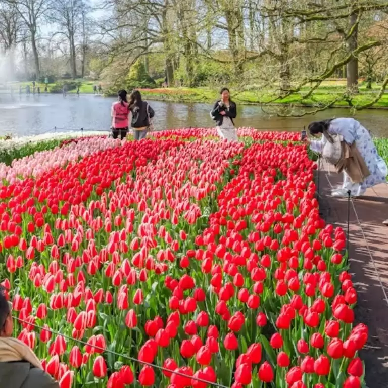 Keukenhof Gardens with transport