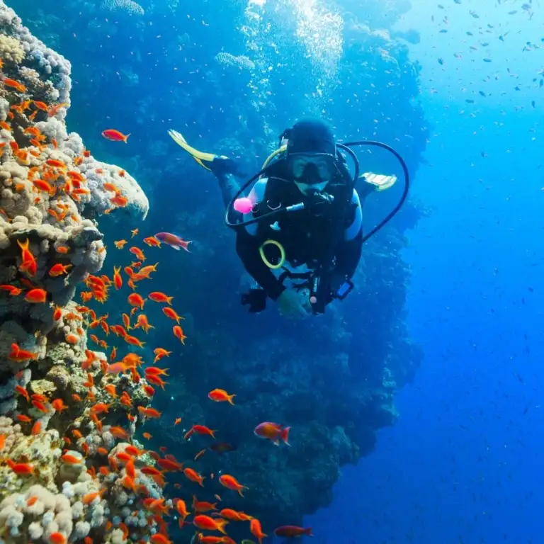 Diving Experience in Khasab