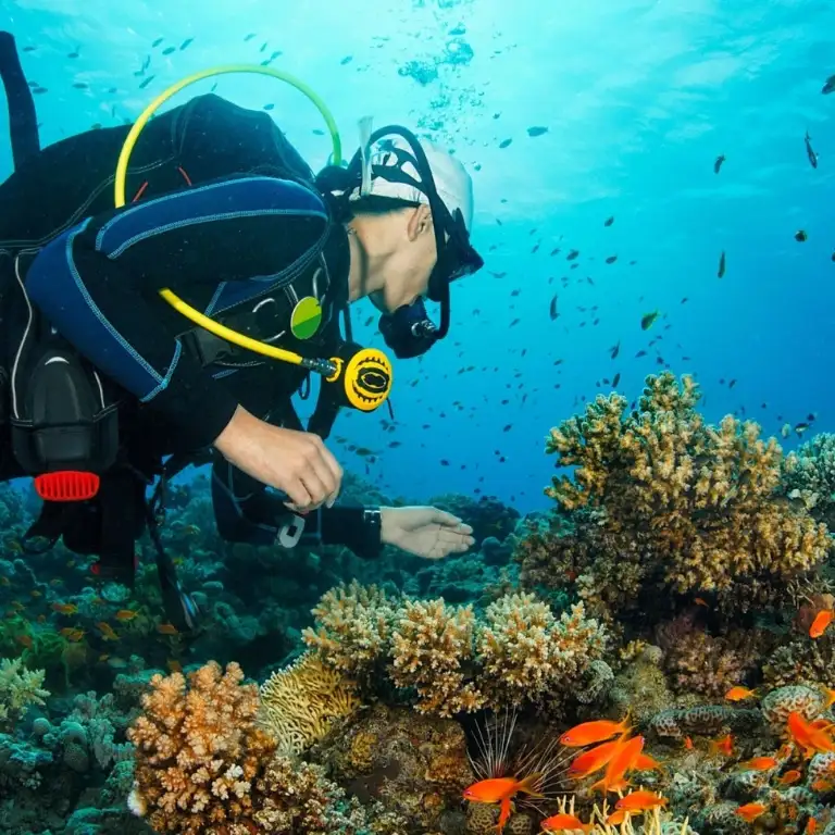 Diving Experience in Khasab