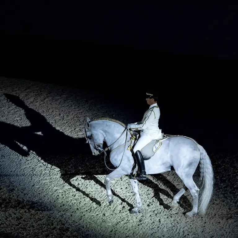 Furusiyya: Kökenlere Dönüş