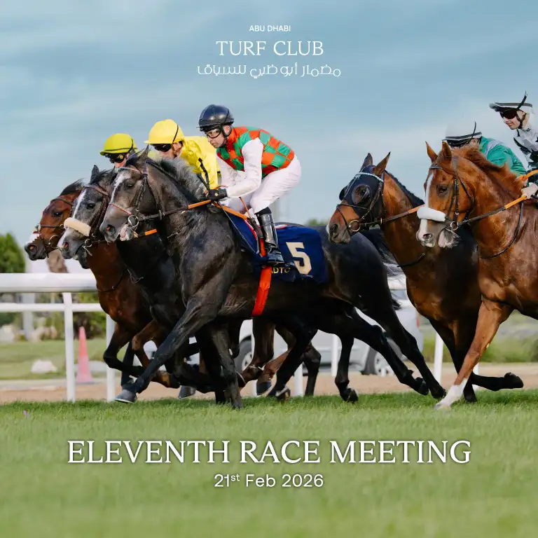 Садовая гонка встреча 11