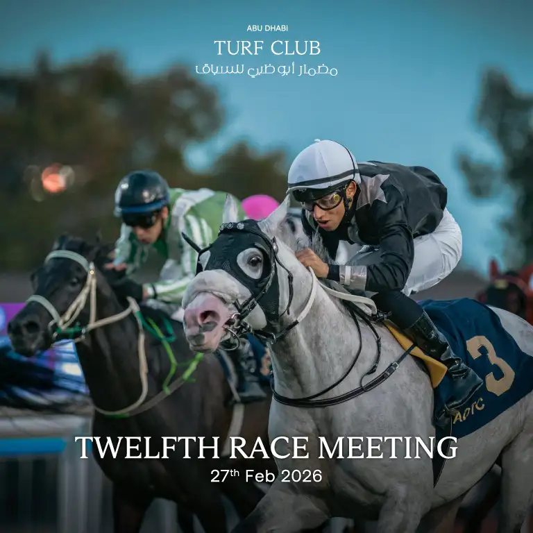 Садовая гонка 12